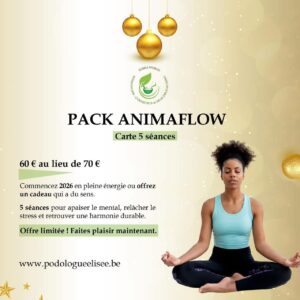 Pack AnimaFlow